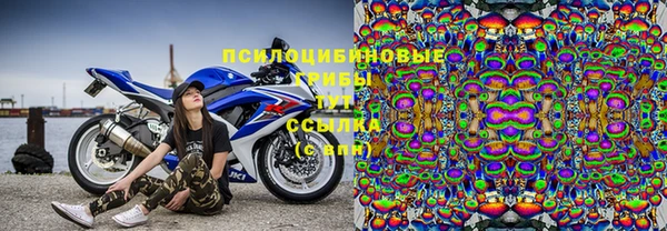 героин Горняк