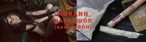 гашик Вязьма
