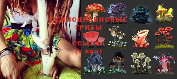 первитин Вяземский