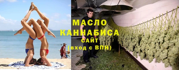 гашик Вязьма