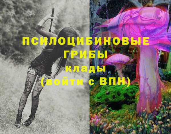 первитин Вяземский