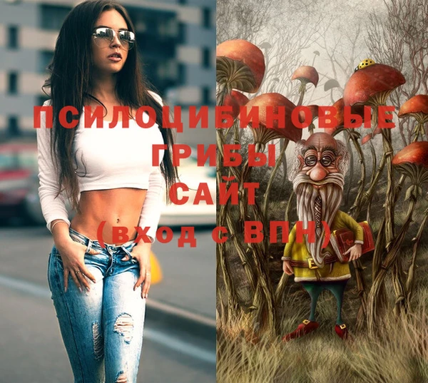 гашик Вязьма